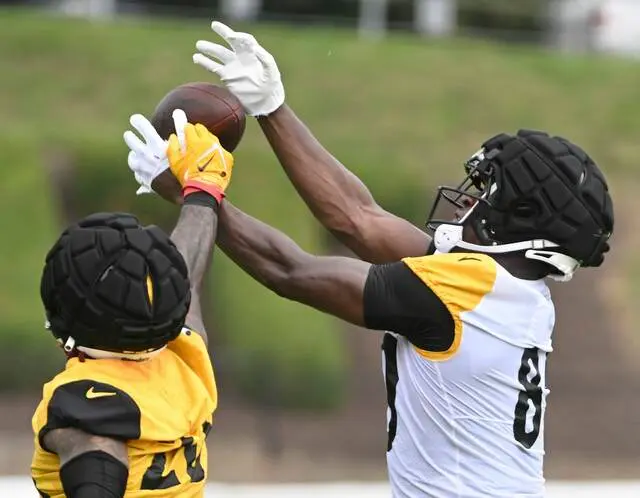 Steelers camp report: DE DeMarvin Leal escapes serious ankle injury in  1-on-1 drill